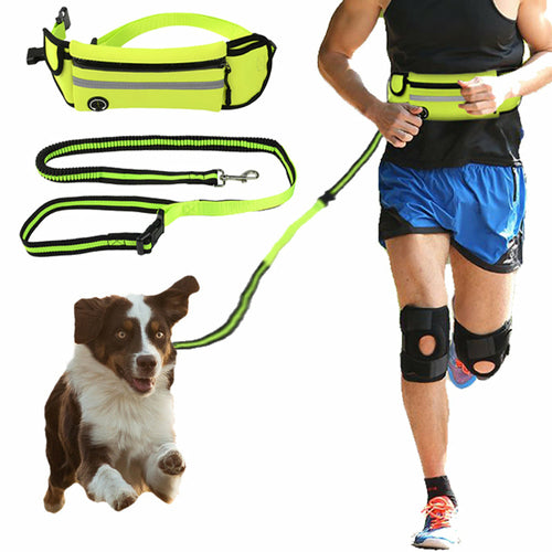 Sac banane pour chien – Imperméable avec laisse intégrée réfléchissante