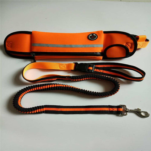 Sac banane pour chien – Imperméable avec laisse intégrée réfléchissante